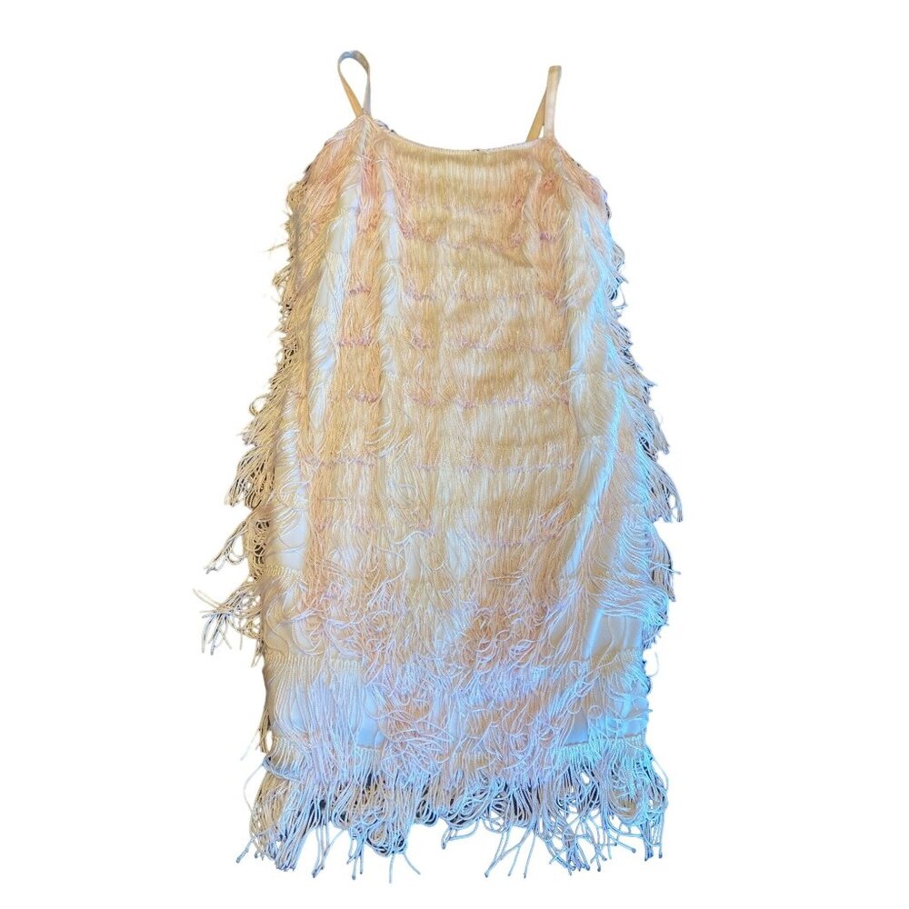 Lew Magram Collection Blush Fringed Flapper Dress Size Small Gatsby Twenties